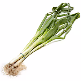 Black Dirt Region Scallions
